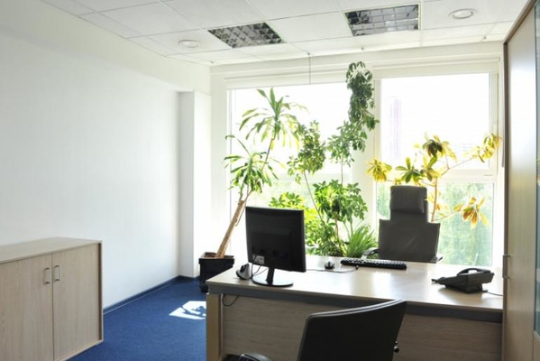 129226, г. Москва, улица Докукина, 16с1 (БЦ «Смена»)